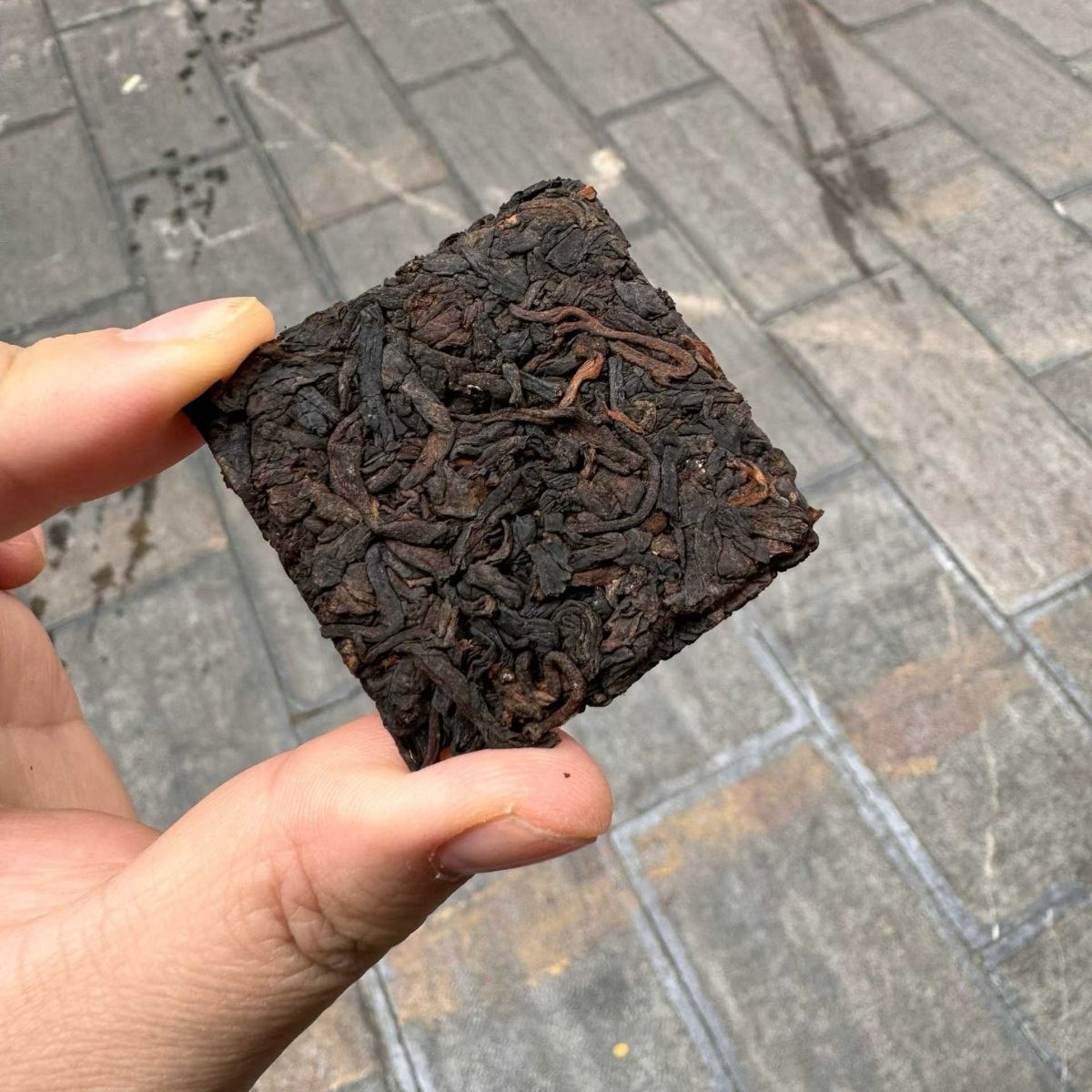 Ancient Tree Mellow Shou Puerh Mini Cake 2019 - 8g per Piece, 230g Box