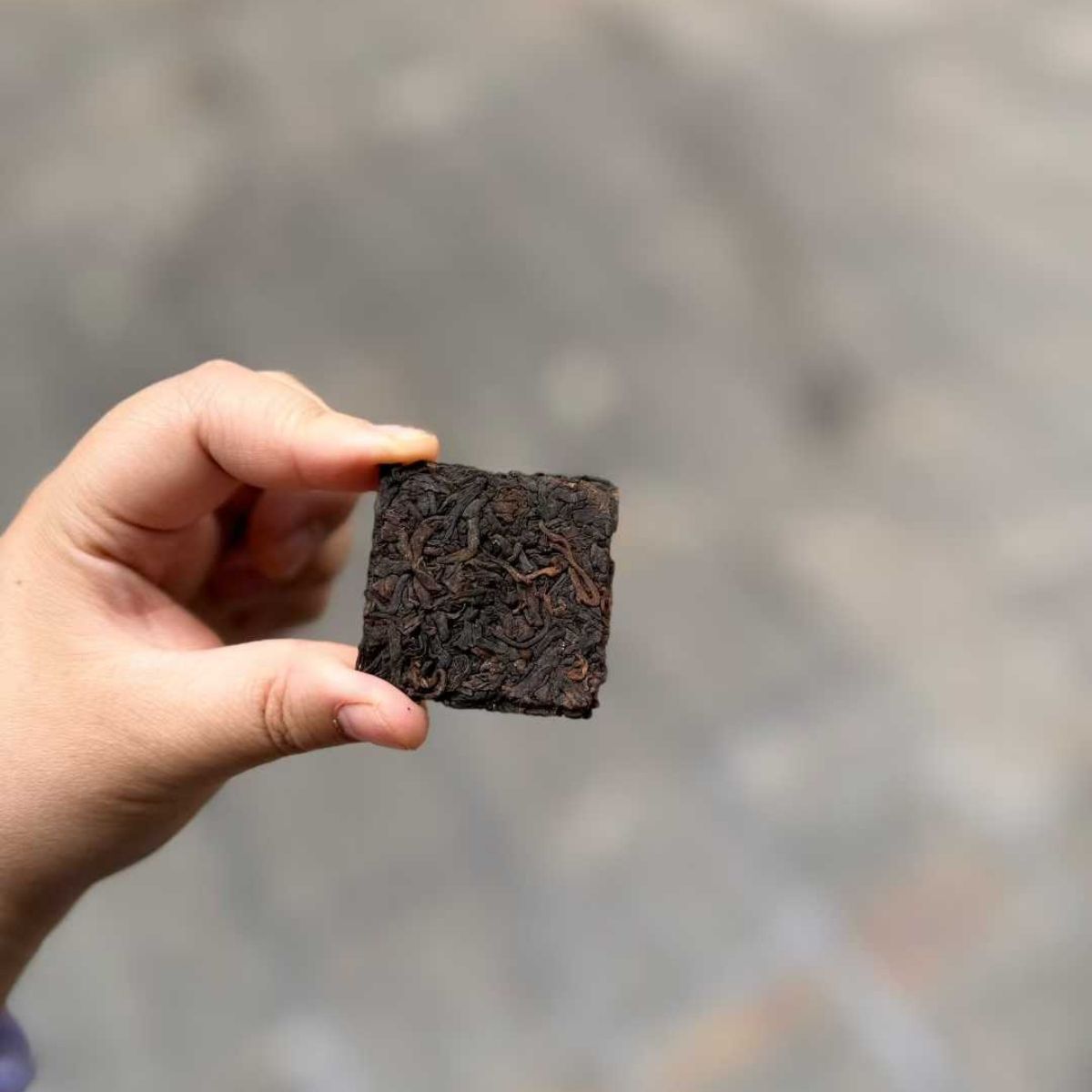 Ancient Tree Mellow Shou Puerh Mini Cake 2019 - 8g per Piece, 230g Box