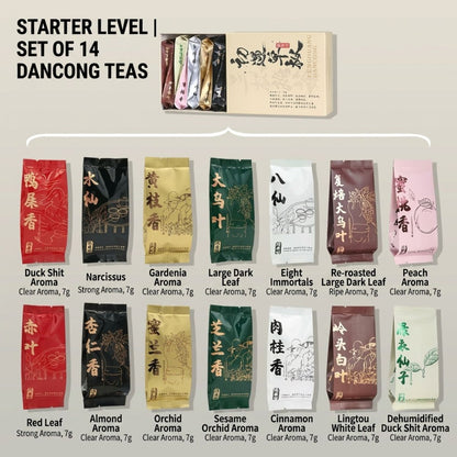 First Taste of Dan Cong Oolong 初遇单丛 | 14-Aroma Experience Gift Box