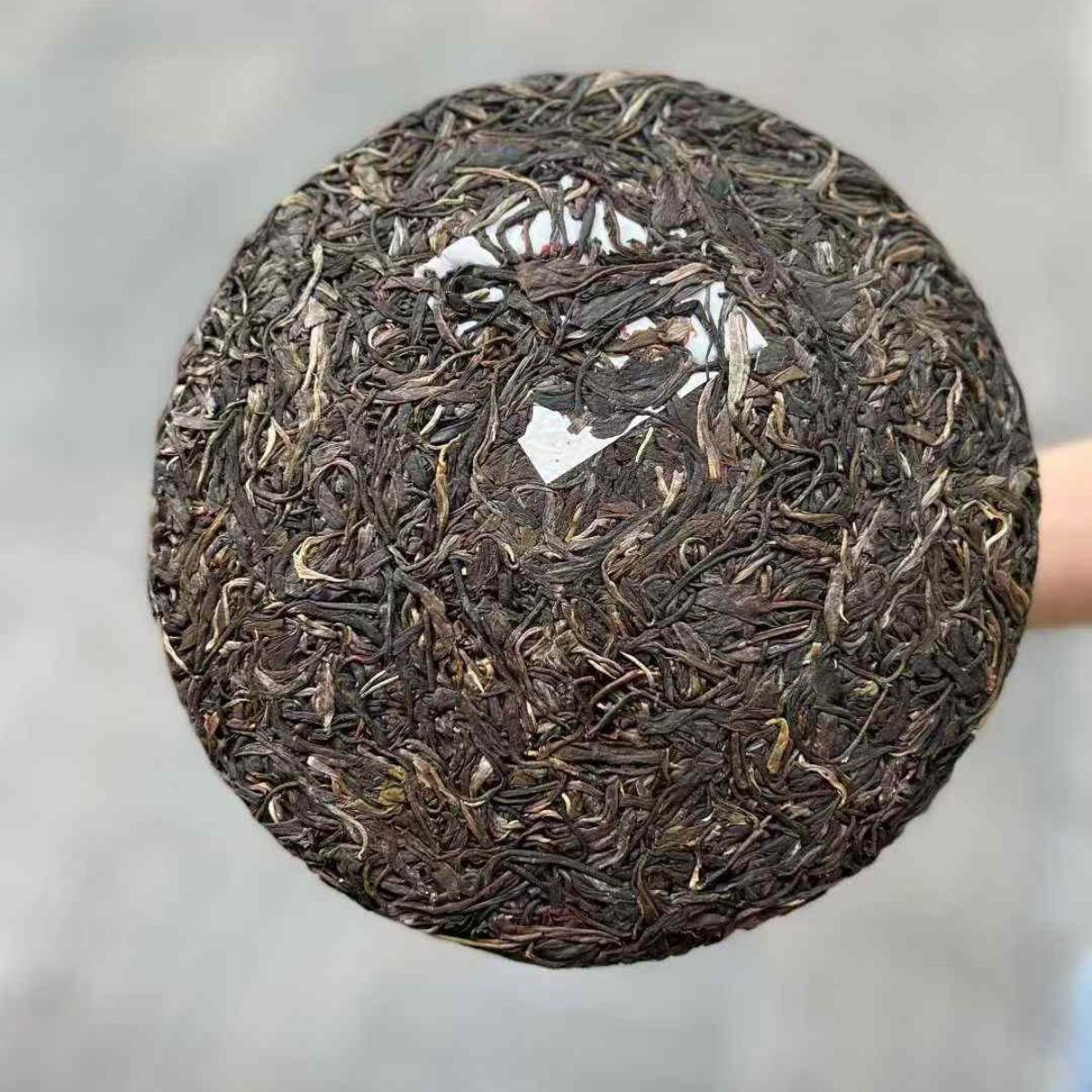 Gua Feng Zhai Ancient Tree Pure Material Sheng Puerh Tea Cake Spring 2015 - 357g