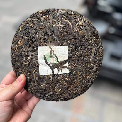 2020 Wild Bo Hetang ( Mint Valley)  Ancient Tree Raw Pu-erh Cake – 357g