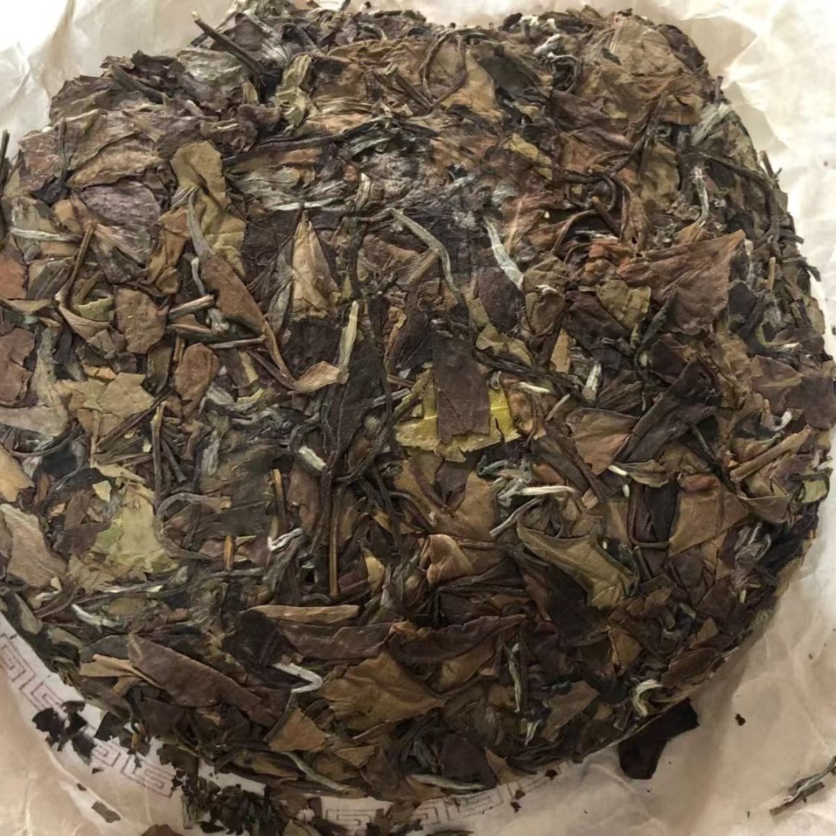 2010 Wild Shou Mei Aged White Tea Sun-Dried • Plum & Floral Notes • Naturally Sweet