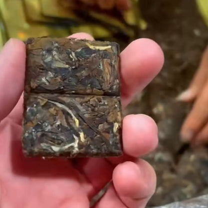 Ding Xue Ya | 2016 Aged White Tea | 5g Mini Squares