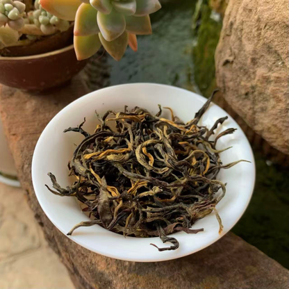 2026 Jingmai Ancient Tree Sun-Dried Red — Xiang Fei | Orchid Honey & Wild Mountain Soul