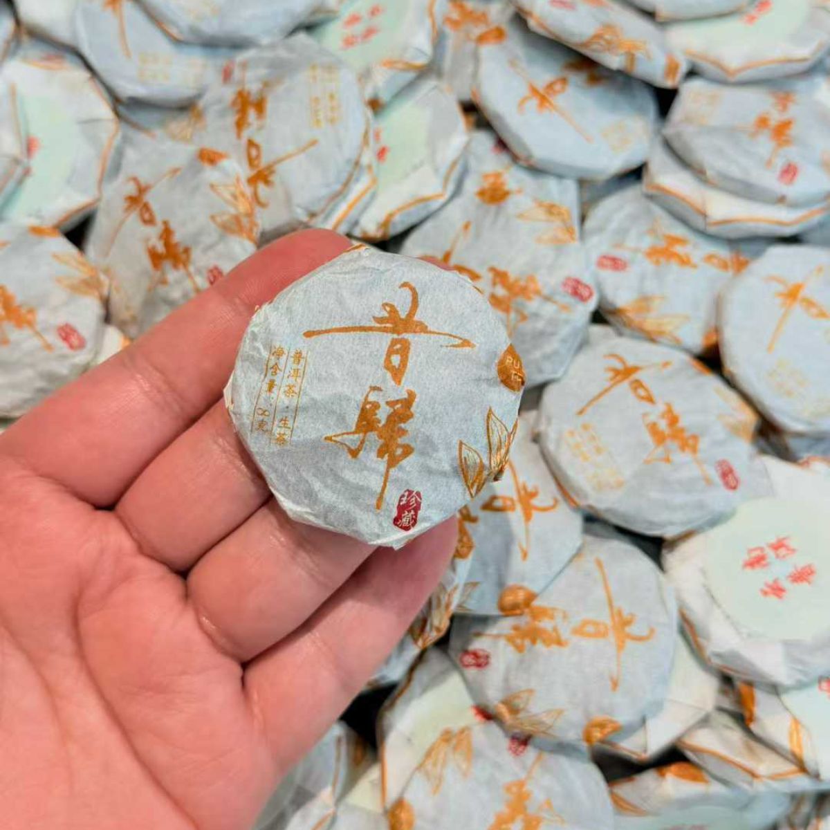 Xigui Ancient Tree Mini Round Sheng Puerh 2022 - 8g per Piece