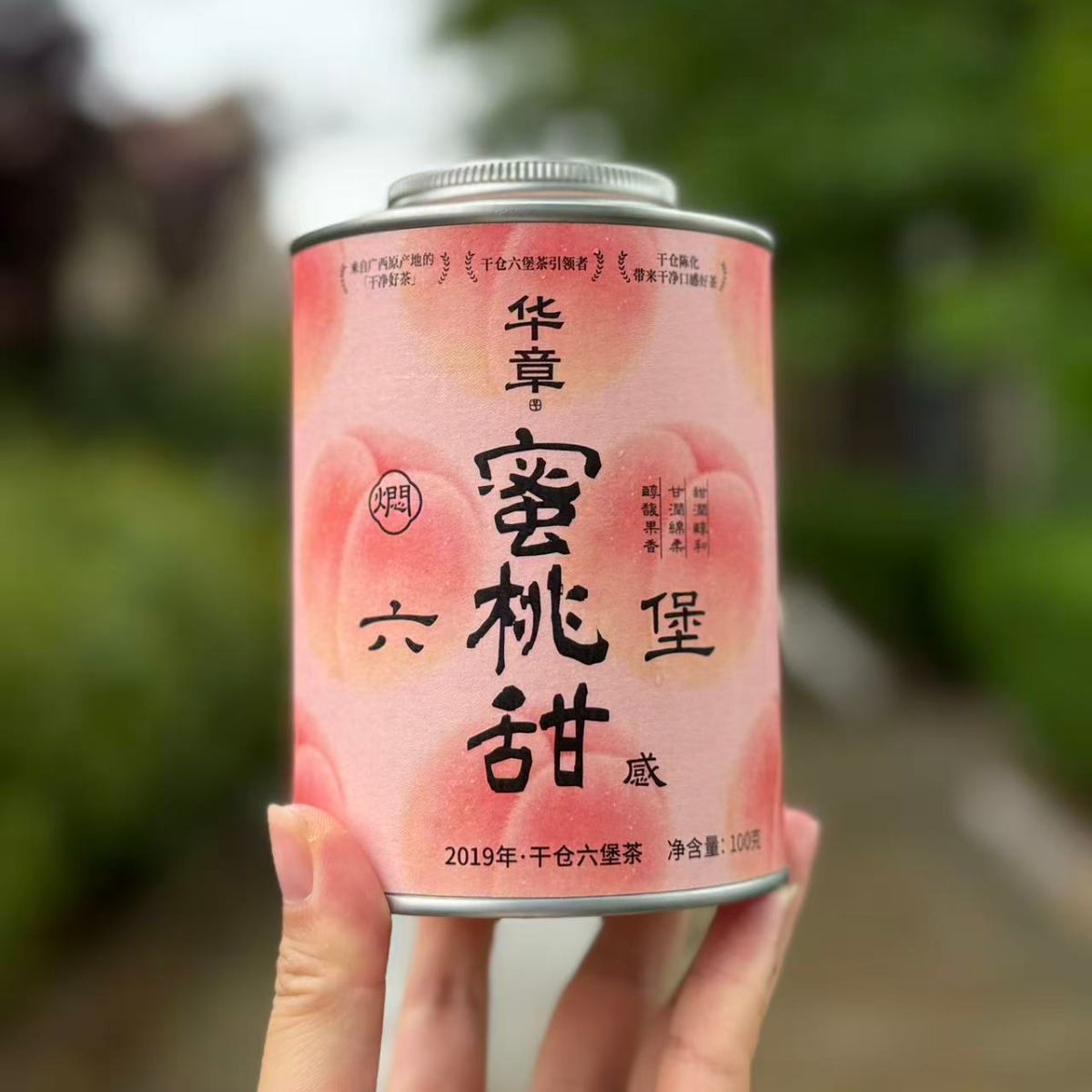 Hua Zhang Liu Bao Tea — Honey Peach Sweet | Light, Fresh & Naturally Fruity Dark Tea
