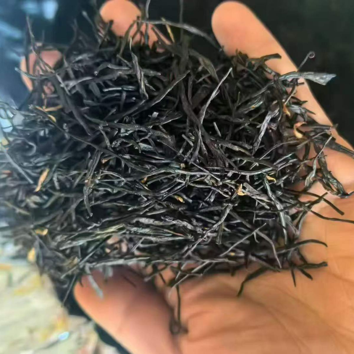 Zhongguo Hong – Premium Yunnan Dian Hong Black Tea | Five-Aroma Special Grade