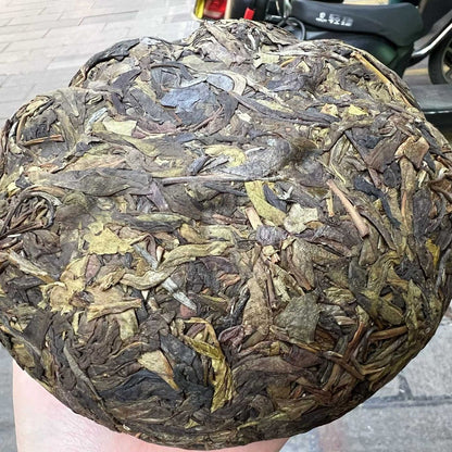 Banzhang Golden Melon Ancient Tree Huang Pian Sheng Puerh - 800g