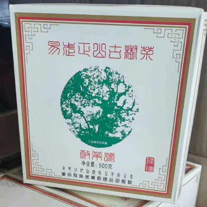 2012 Yiwu Zhengshan Ancient Tree Raw Pu-erh (Jingye Hao · 500g Cake) | 800-Year Old Tree Material | Dry-Aged Yiwu Sheng Pu-erh
