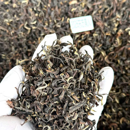 2026 Oriental Beauty (Dongfang Meiren) | Rare Leafhopper-Bitten Taiwan Oolong