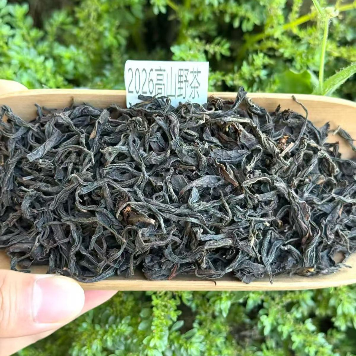 2026 High-Mountain Wild Black Tea | Explosive Peach & Floral Aroma | Smooth, Naturally Sweet (250g / 500g)