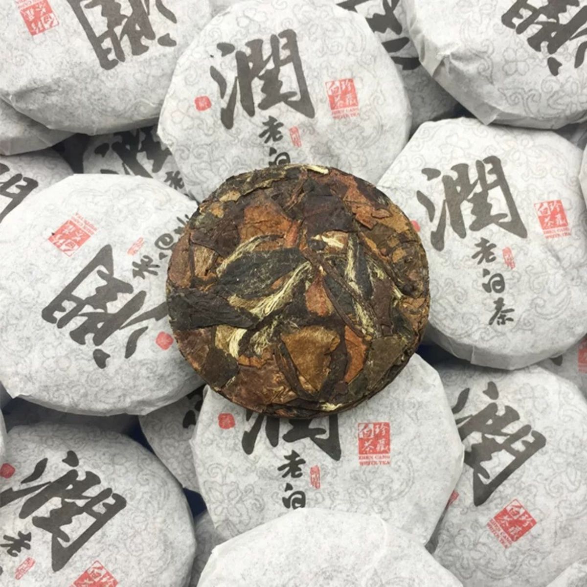 Aged Fuding White Tea Mini Cakes - 7+ Year Naturally Aged Shou Mei (6g per Cake)