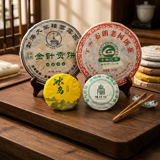 Aged Raw Pu-erh 4-Cake Tasting Collection | 2007–2021 Vintage Sheng Set