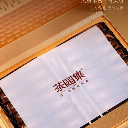 Cha Yuan Ji · Ya Shi Xiang Phoenix Dancong — High-Mountain Oolong Gift Box, 240g