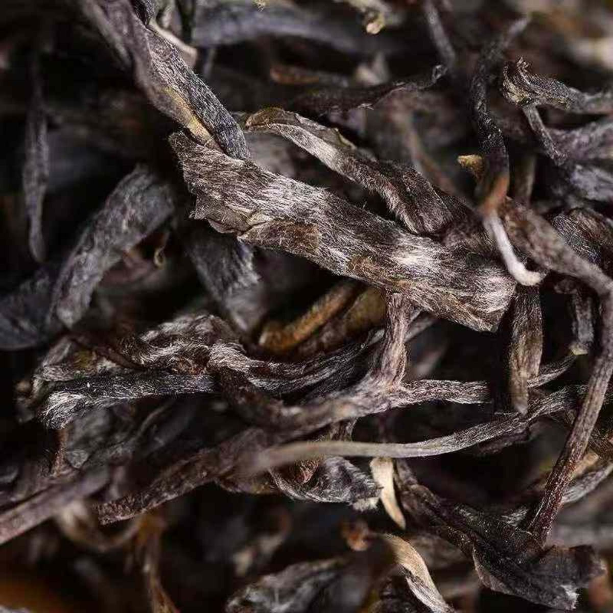Naka Bamboo Tube Sheng Puerh Tea 2015 - 600g Traditional Lahu Craft