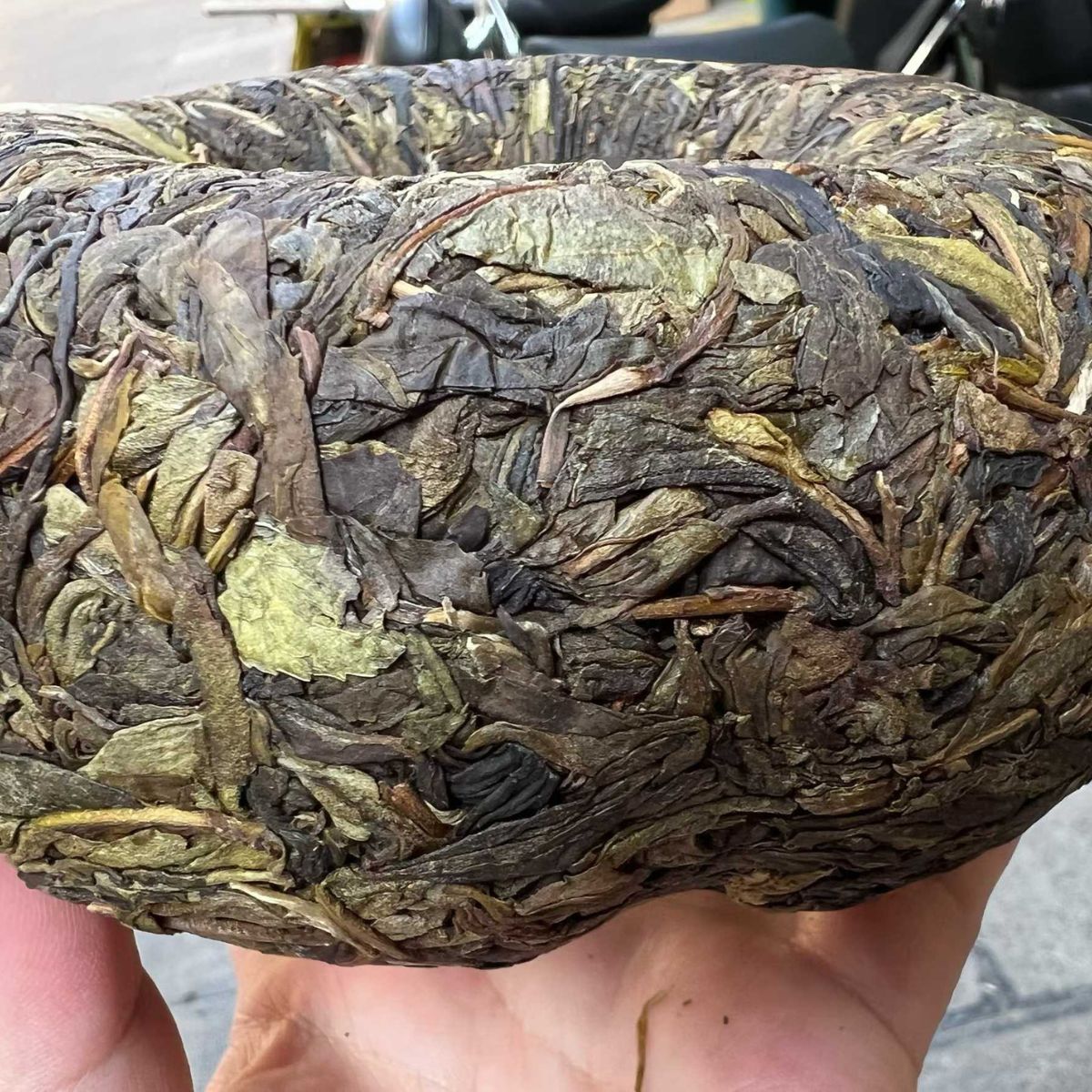 Banzhang Golden Melon Ancient Tree Huang Pian Sheng Puerh - 800g