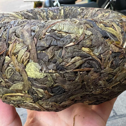 Banzhang Golden Melon Ancient Tree Huang Pian Sheng Puerh - 800g