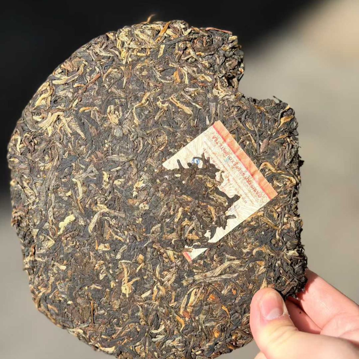 Xinghai Jin Yu Shang Bulang Mountain Arbor Ecological Sheng Puerh 2006 - 357g