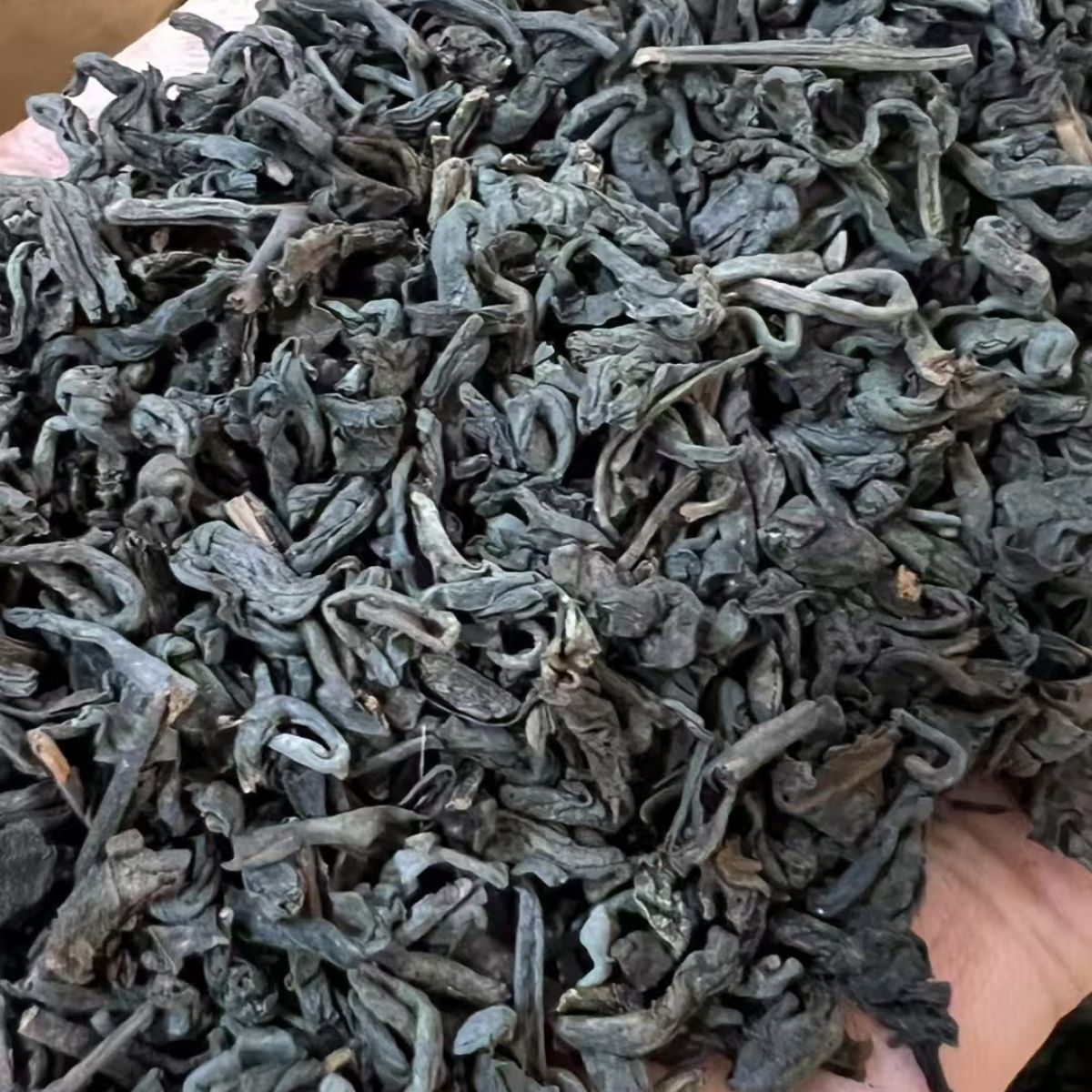 2015 Maosheng Liubao Tea "New Red Charm" – 2500g Bamboo Basket