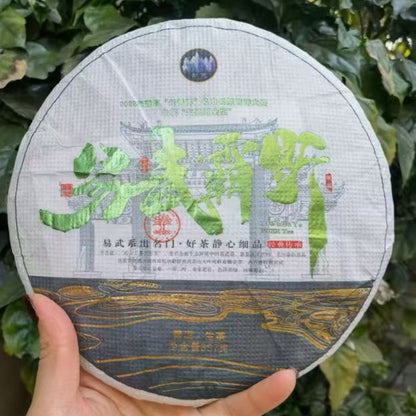 Yiwu Ba Ye — Rare Wild Arbor High-Pole Sheng Puerh | 357g Cake | Untamed Tea Energy