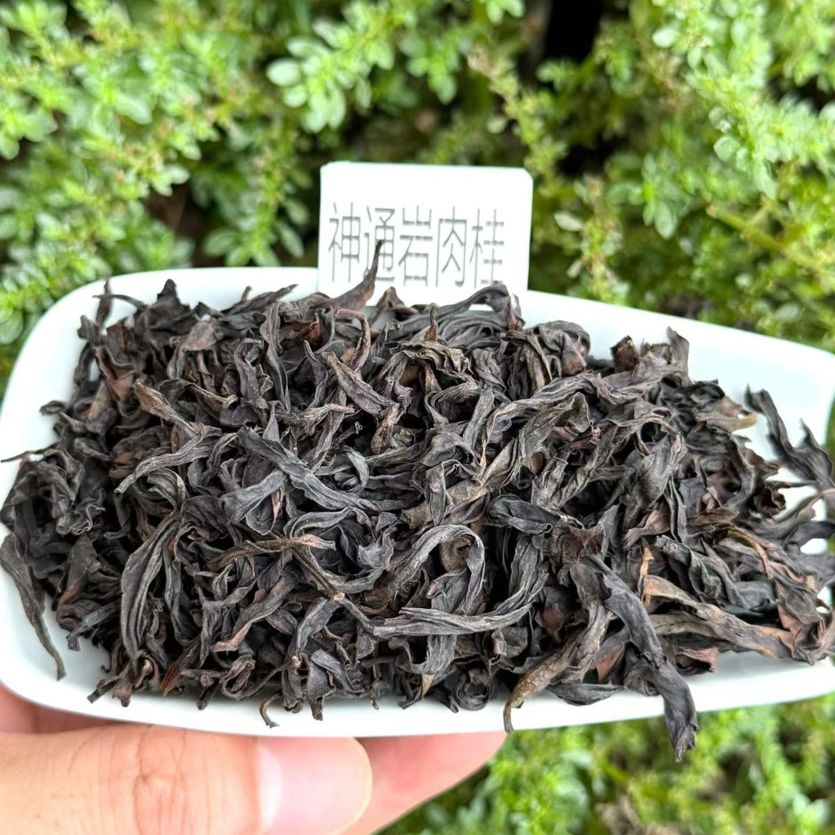 Shen Tong Yan Rougui | Wuyi Zheng Yan Rock Oolong — Cliff-Grown, Pure Cinnamon Power