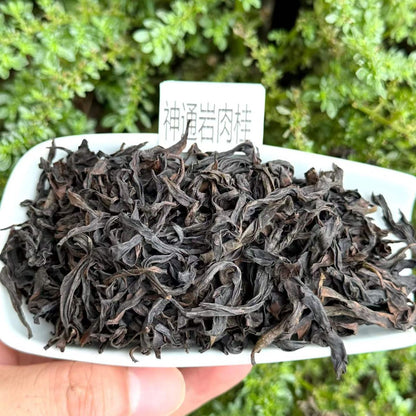 Shen Tong Yan Rougui | Wuyi Zheng Yan Rock Oolong — Cliff-Grown, Pure Cinnamon Power