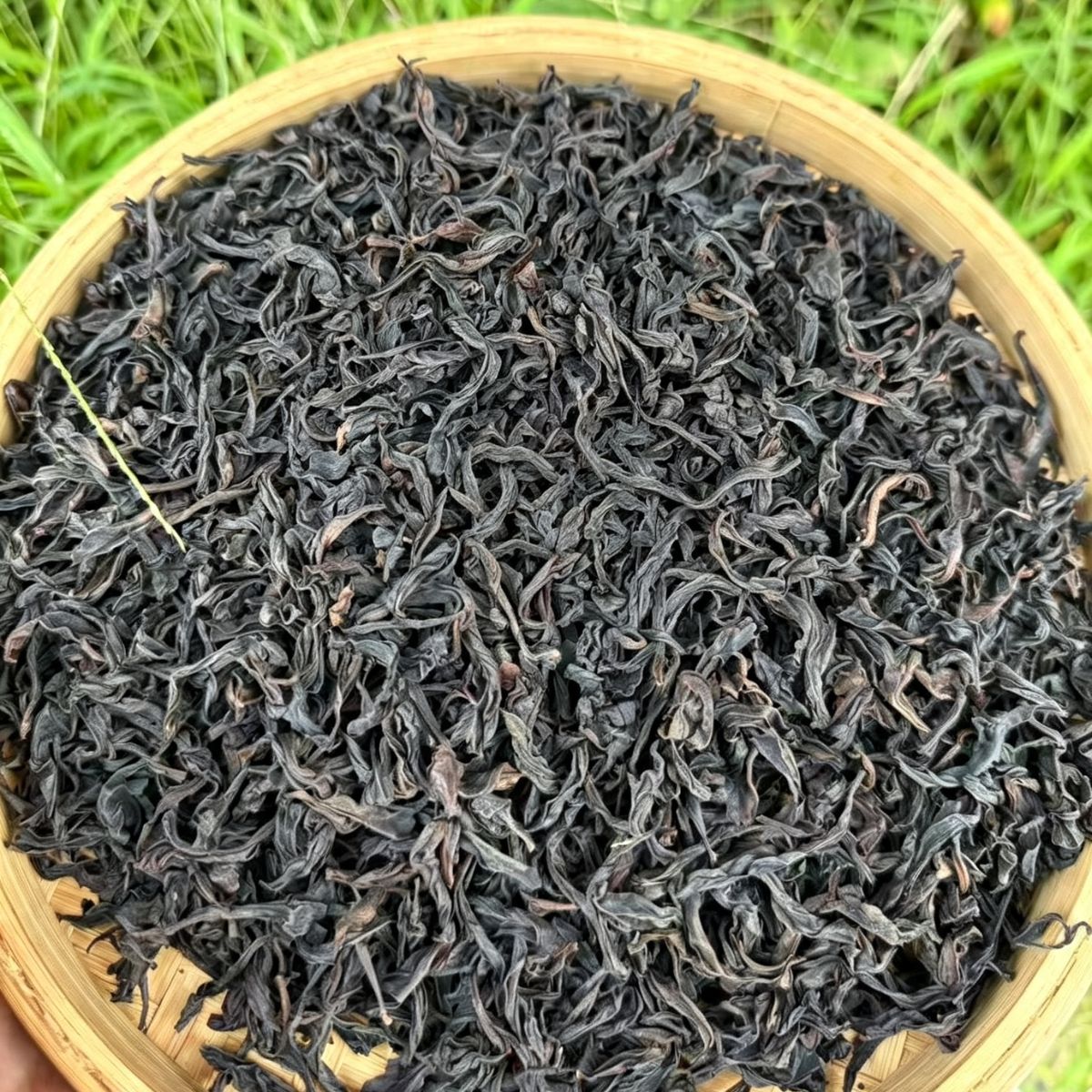 Tianxin Rock Rougui | Medium Roast Wuyi Zhengyan Cinnamon Bark Oolong
