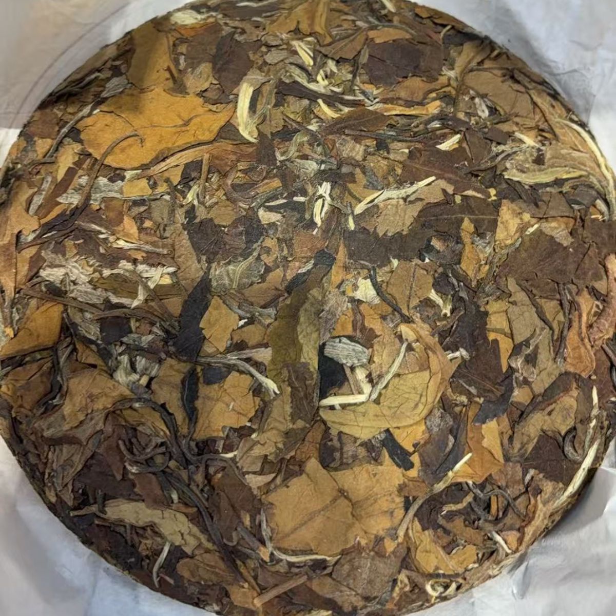 2021 Yunnan Ancient Tree Aged White Tea – 357g Cake 4‑Year Dry Storage · Ancient Tree Energy · Brew or Simmer