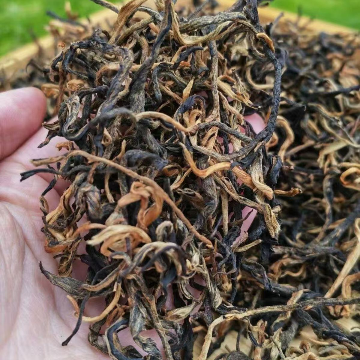 Yunnan Honey Aroma Mao Feng Black Tea | Caramel Cup Fragrance, Silky Sweet & Remarkably Brew-Resistant