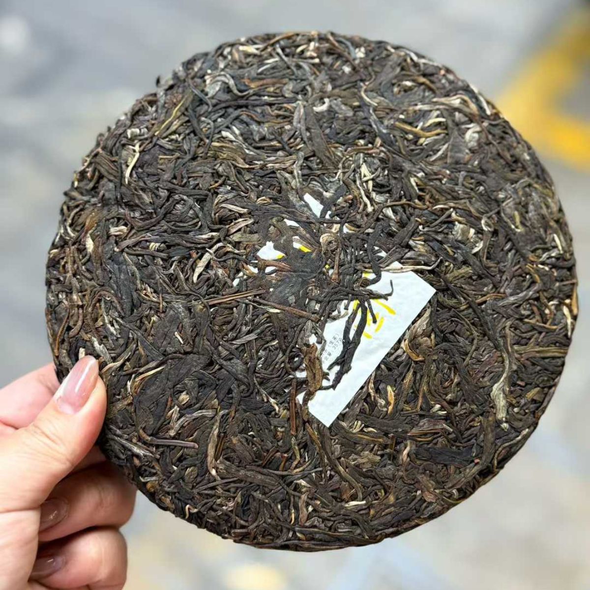 Yiwu Bai Cha Yuan Ancient Tree Sheng Puerh Tea Cake 2021 - 357g