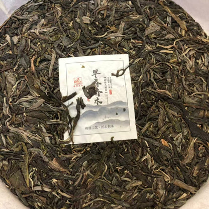 2021 Early Spring Arbor Raw Pu-erh Cake 357g