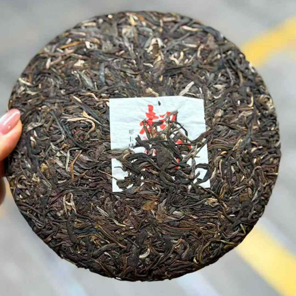Qidian Naka Early Spring Ancient Tree Sheng Puerh 2021 - 357g