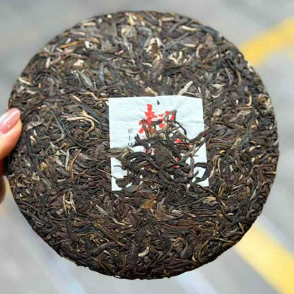 Qidian Naka Early Spring Ancient Tree Sheng Puerh 2021 - 357g