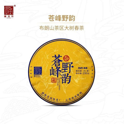 Ultimate Raw Pu-erh Collection: Premium Mountain Teas (1214g)