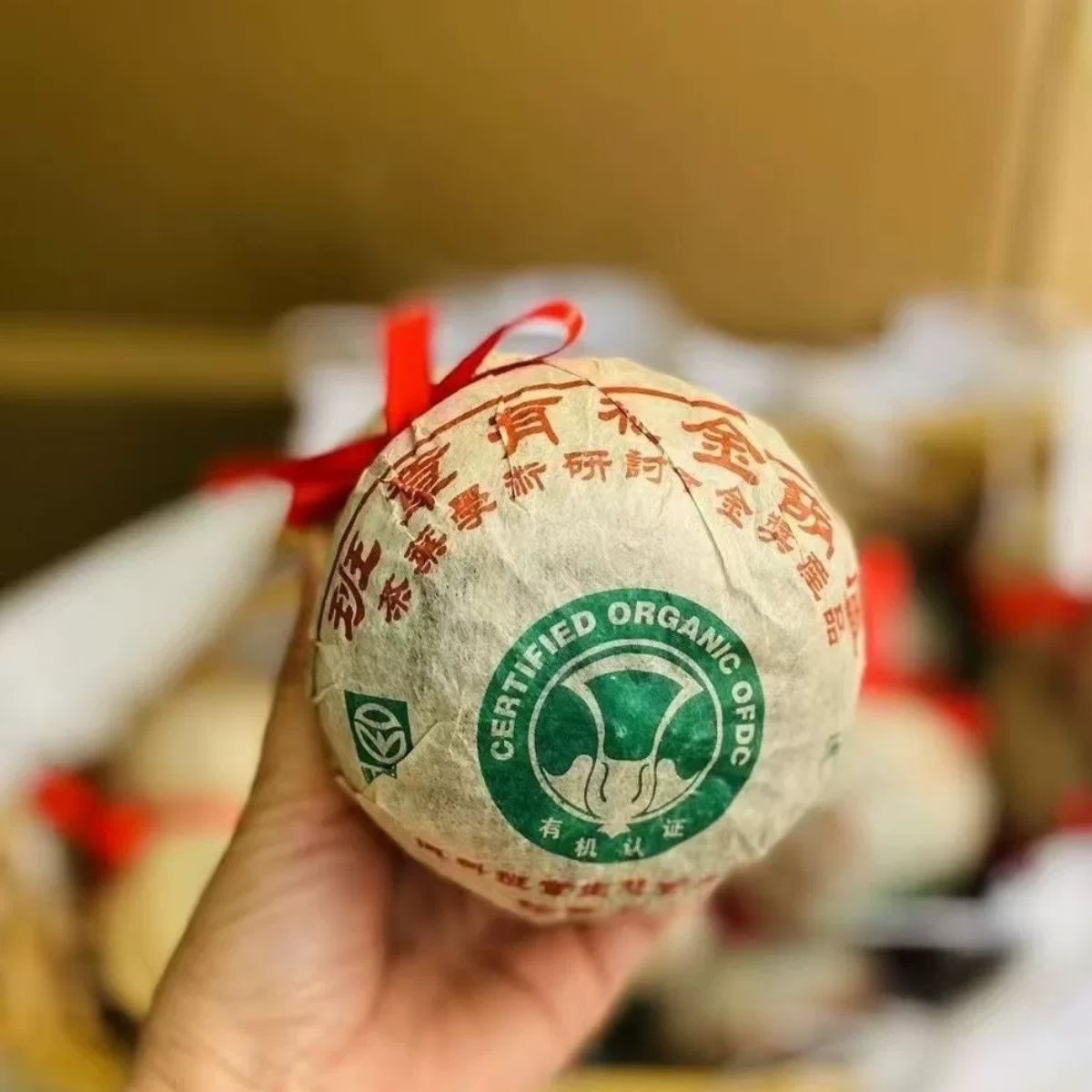 2004 Banzhang Organic Golden Gourd Raw Pu-erh Tea 500g | Guangdong Stored Aged Sheng Pu-erh