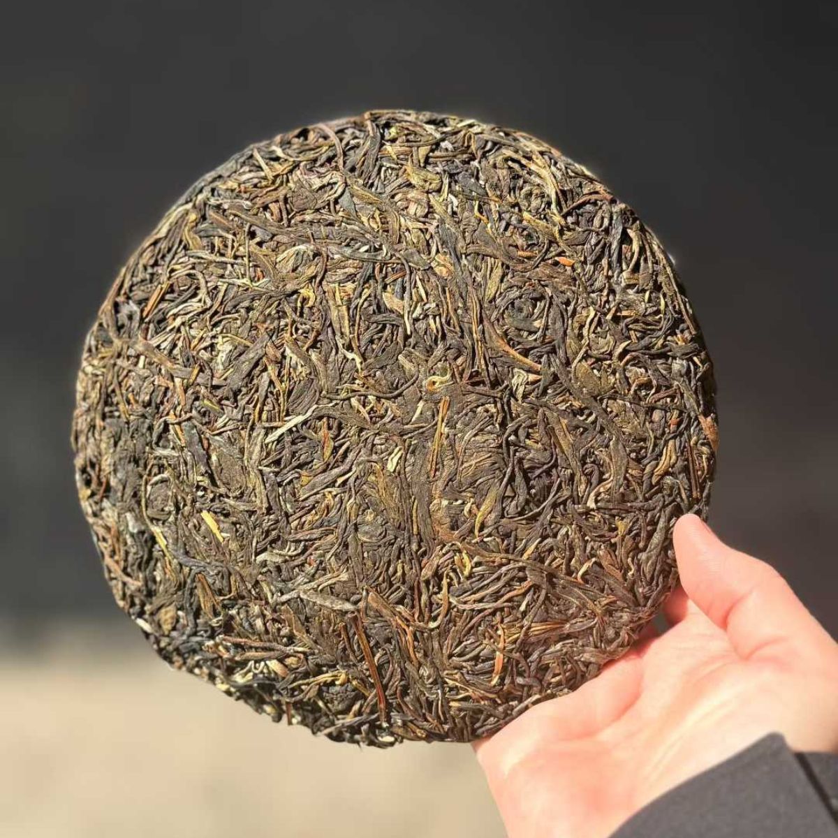 Wangong Ancient Tree Sheng Puerh Tea Cake 2021 - 357g Pristine Forest