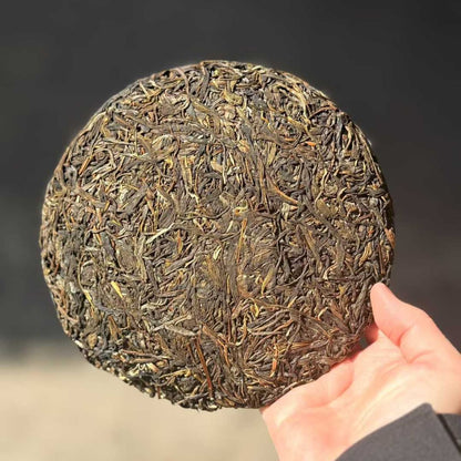 Wangong Ancient Tree Sheng Puerh Tea Cake 2021 - 357g Pristine Forest