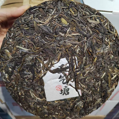 2021 Zhengqitang Raw Pu‑erh Cake – 357g, Floral & Honey‑Sweet