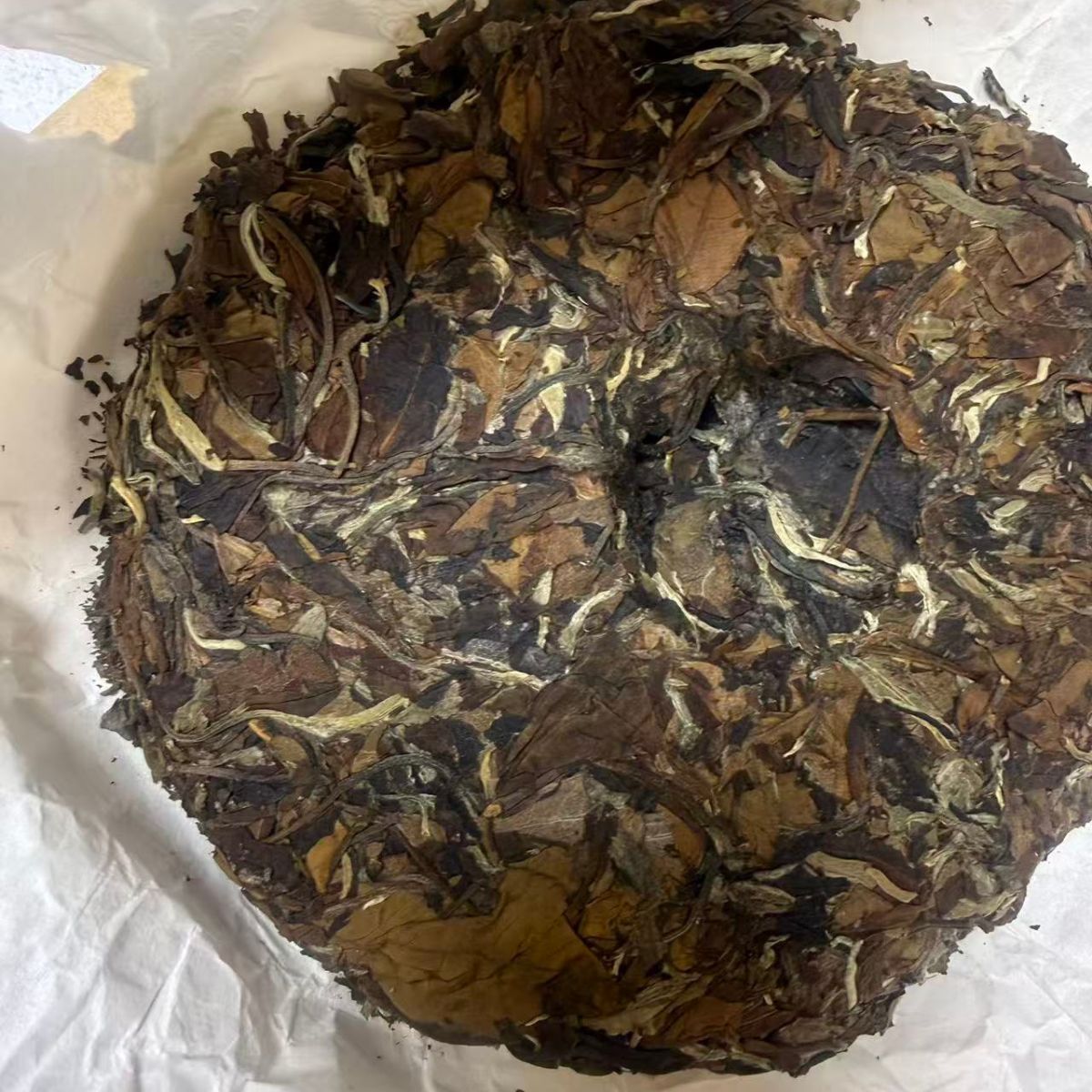2020 Wild White Tea Cake (357g) – Yunnan Big Leaf Variety