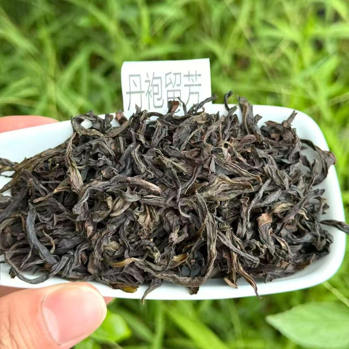 Dan Pao Liu Fang | Light-Medium Roast Wuyi Rock Oolong — Floral, Creamy & Layered Da Hong Pao (50g / 250g / 500g)