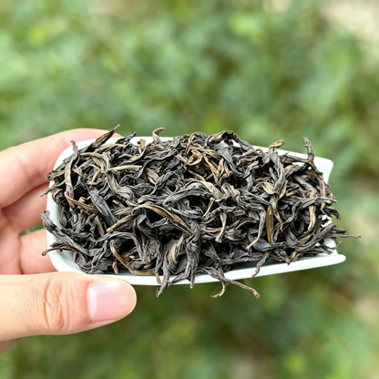 Wu San Di Hua Xiang Gao Cong Shui Xian | Wuyi Rock Oolong — Light-Medium Roast, Floral & Water-Sweet