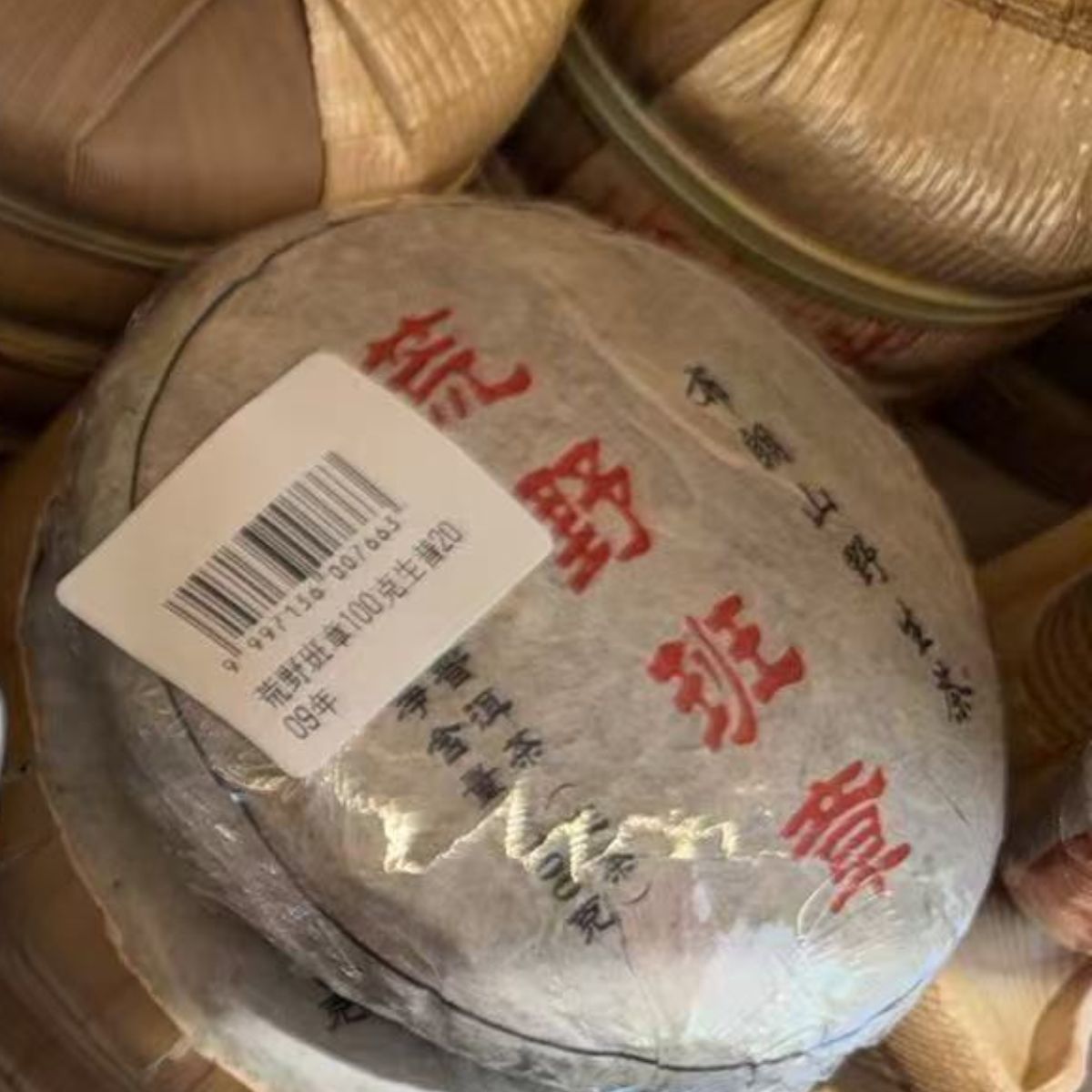 Wild Banzhang Raw Pu-erh - 100g Mini Cake | 2009 Material Premium Wild Sheng