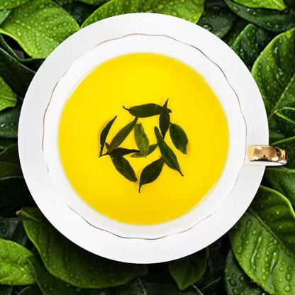 Wild Ancient Tree Eucommia Tea Premium 500g - 50-Year Zhangjiajie High Selenium
