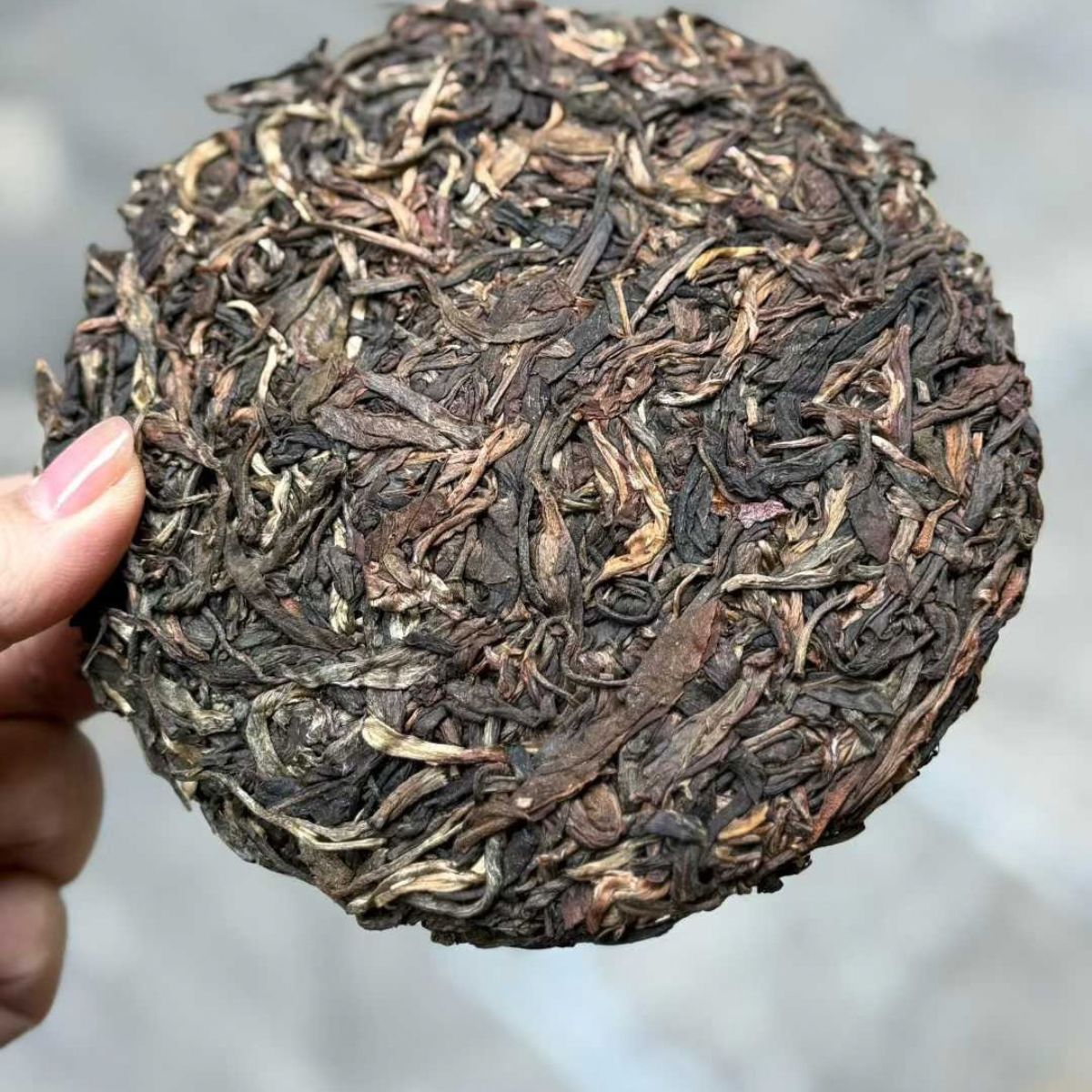 Yunnan Ancient Tree Tea Tasting Set - 3 Flavor Profiles