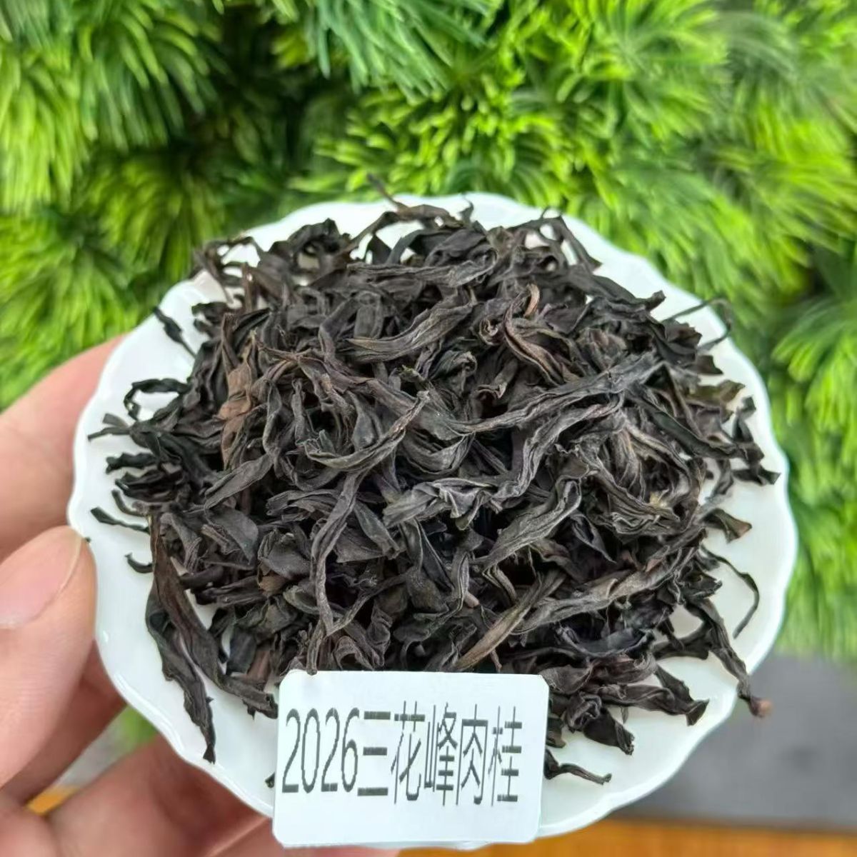 San Hua Feng Rougui | Ma Tou Yan Zheng Yan Rock Oolong — 24-Hour Slow Roast, Signature Creaminess