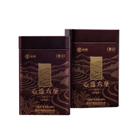 Liubao Dark Tea — Wuzhou Betel Nut Aroma · Cellar Aged First Grade (4 Years) · Loose Leaf Tea Tin (200g)