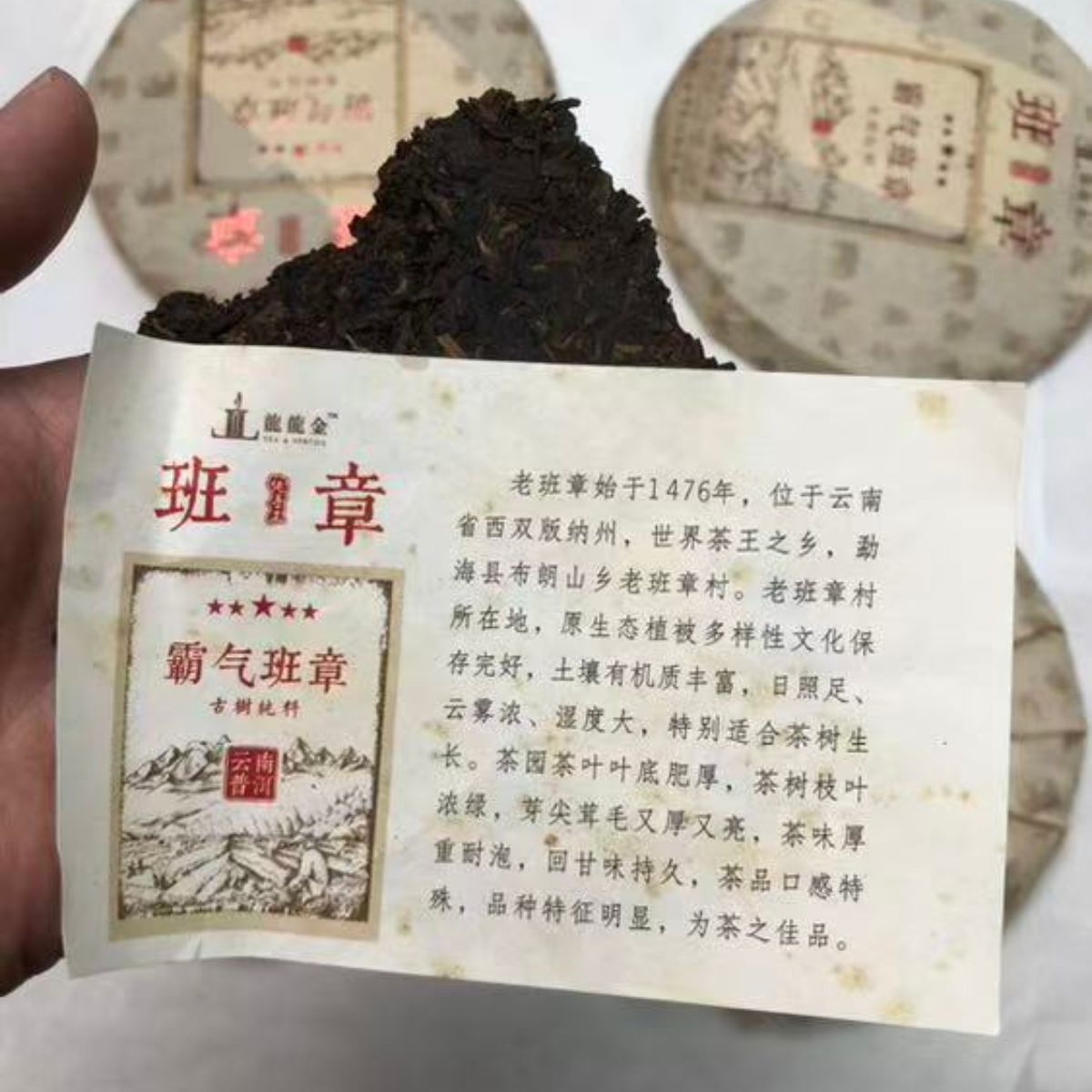 Dominating Banzhang Shou Puerh Tea Cake 2018 - 357g Premium Ancient Tree