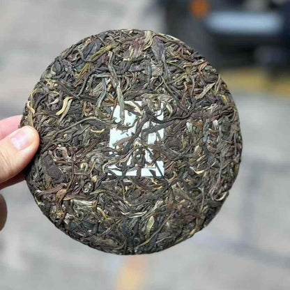 2021 Hekai Raw Pu-erh Tea - 200g | Premium Gift-Grade Sheng Puerh