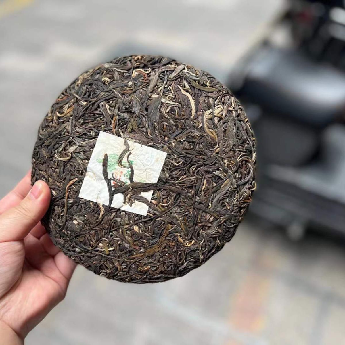 2020 Wild Bo Hetang ( Mint Valley)  Ancient Tree Raw Pu-erh Cake – 357g