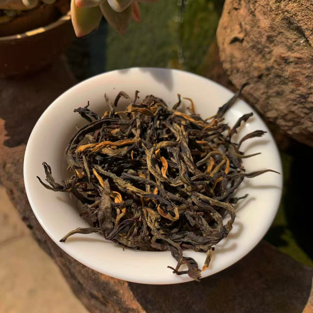 2026 Jingmai Ancient Tree Sun-Dried Red — Xiang Fei | Orchid Honey & Wild Mountain Soul